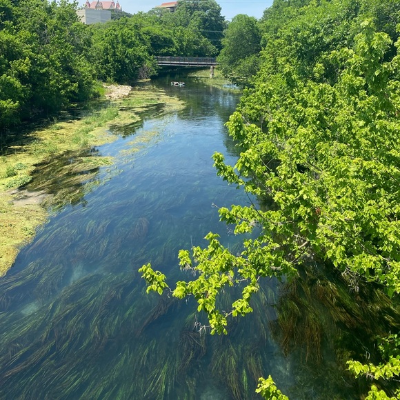 Meet Lily - Picture 2 of 5